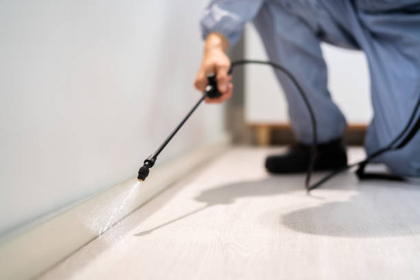 Licensed Cockroach Control service in Richmond, IL - Nex Pest Control