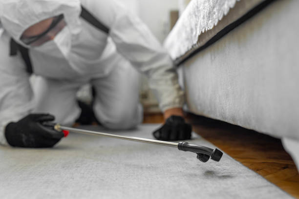 Professional Cockroach Control technician working in Richmond, IL