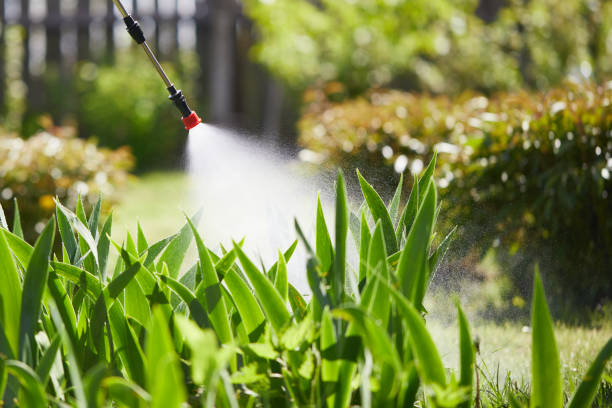 24/7 Emergency Cockroach Control experts in Richmond, IL