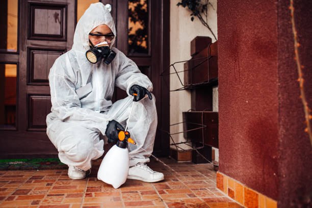 Reliable Cockroach Control contractor in Richmond, IL by Nex Pest Control